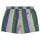 Swim Shorts Purple Stripe